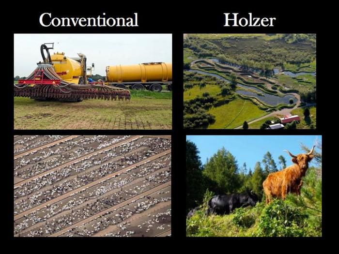 conventional vs holzer