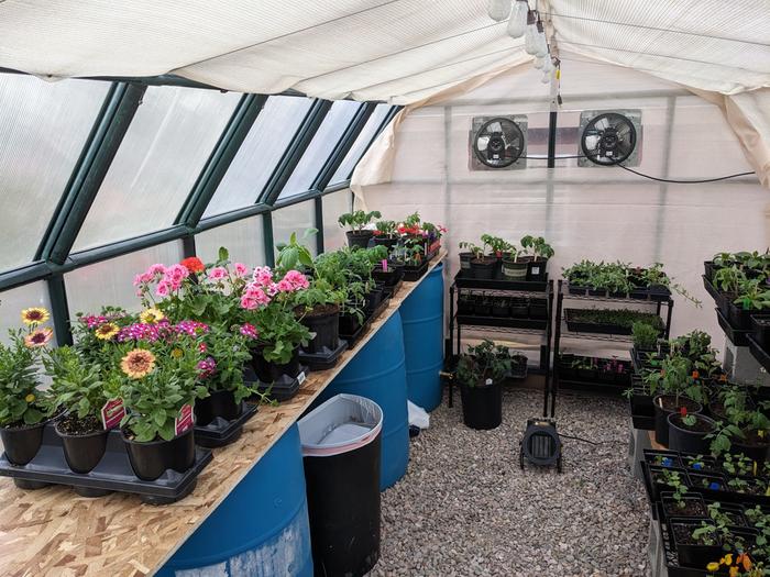 thermal mass in greenhouse interior