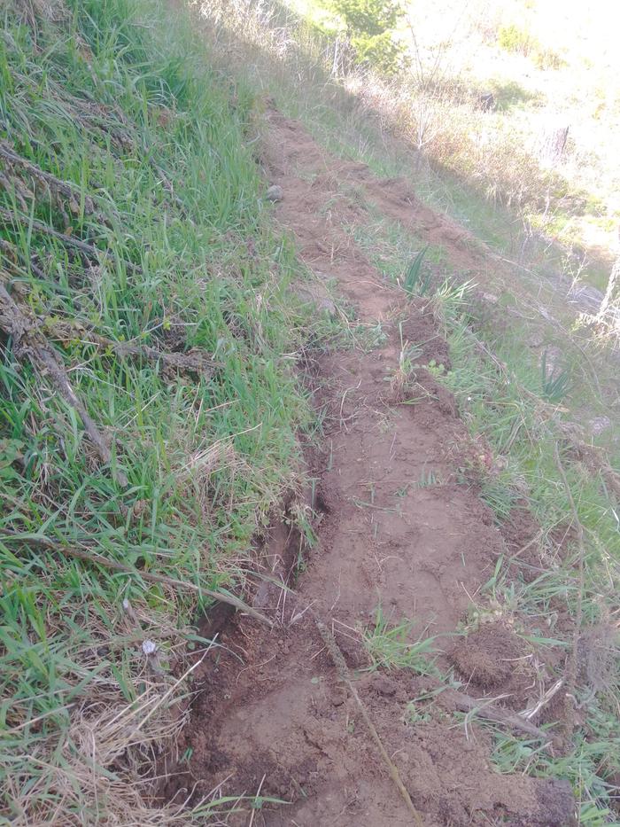 path on a hugelmound