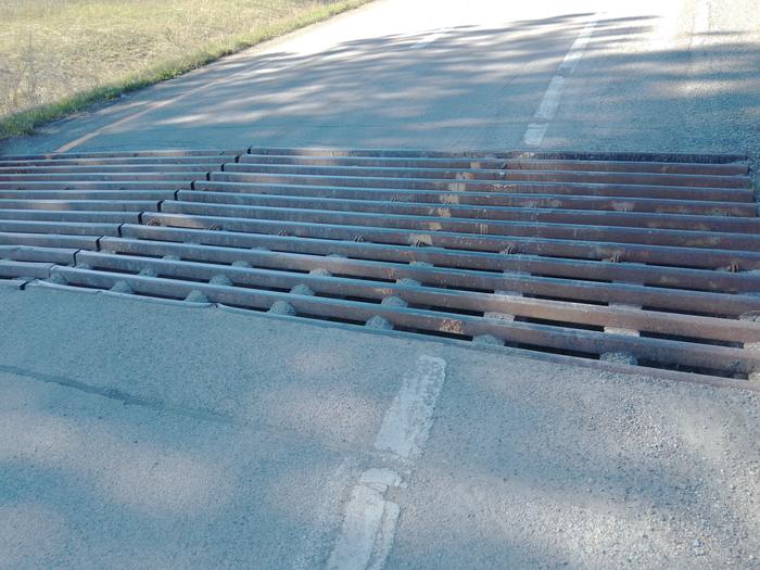 cattle guard in a road