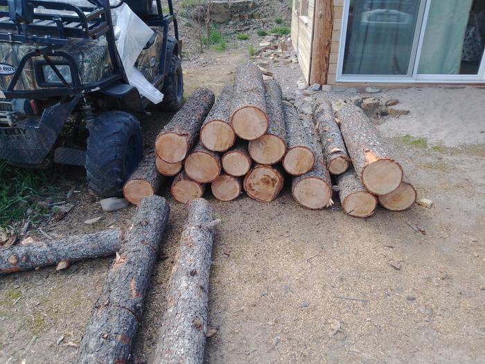 four foot pine logs in a pile