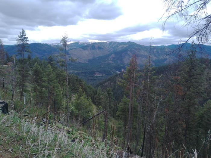 Mountains in Montana