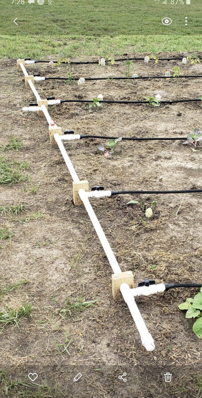 simple irrigation setup