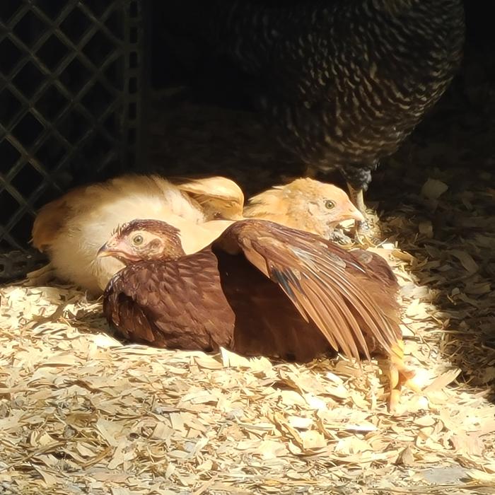 Warming up before working out 