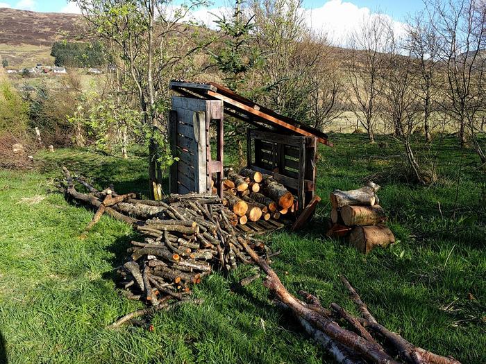 cutting to length and stacking coppiced wood to dry