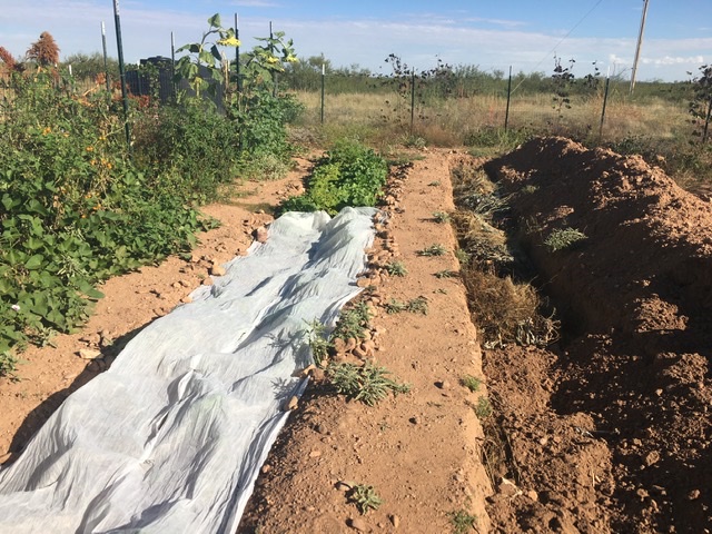 Bed being dug on right, beds on left being used for the first annuals