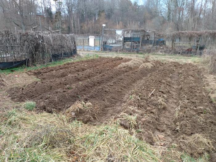 ploughing by hand