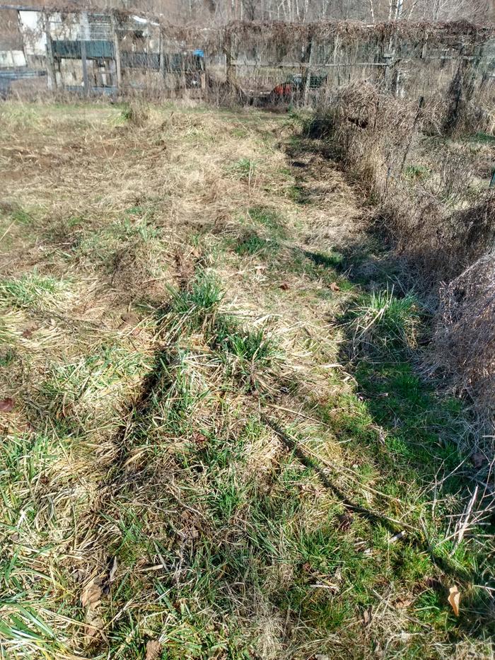 converting turf to growing beds