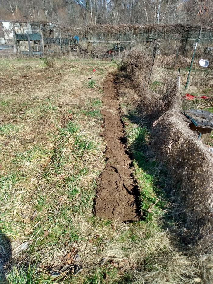 inverting turf using irish lazy bed techniques