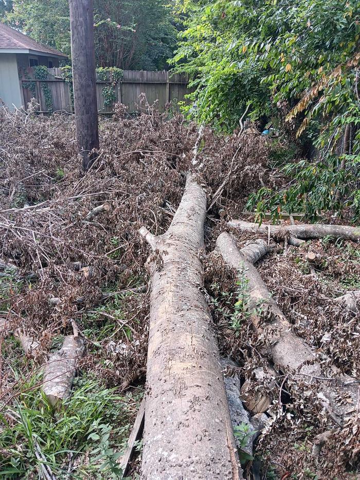 Hackberry down!