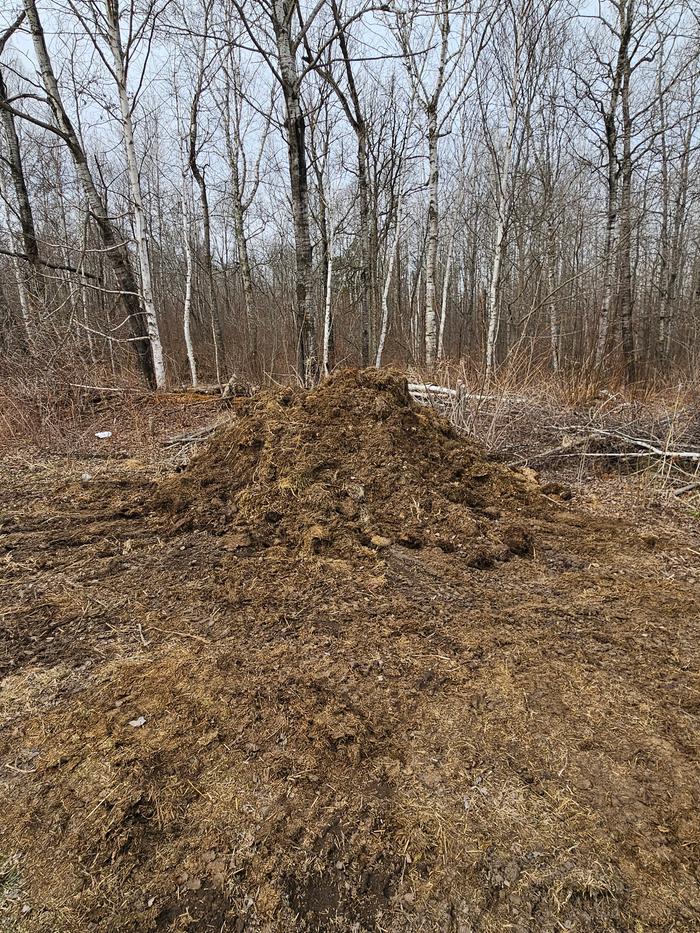 Old compost pile