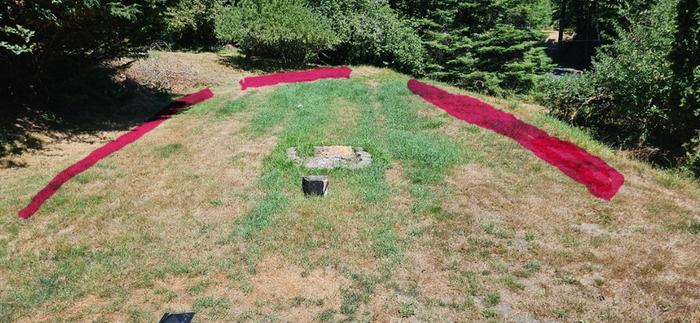 Septic Field
