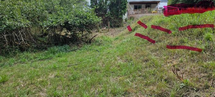 Raised mound for septic field in backyard