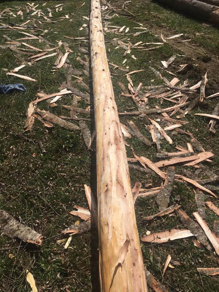 first log shaved for new home