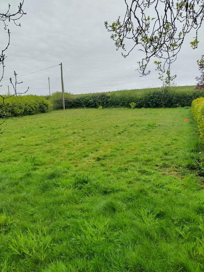 Beautiful hedged plot of land