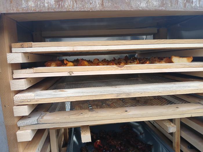 [Thumbnail for 20250828_153528.jpg]