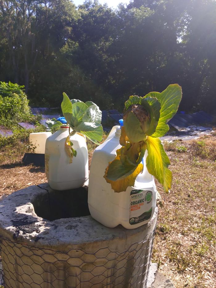 [Thumbnail for IMG_20240506_095219.jpg]