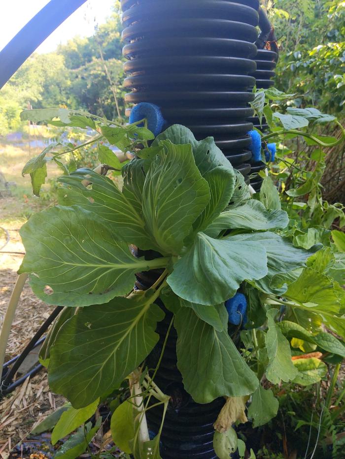 [Thumbnail for IMG_20240506_094521.jpg]