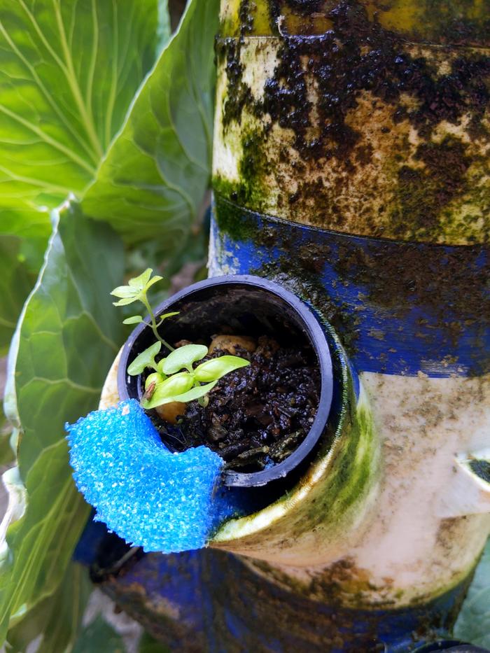 [Thumbnail for IMG_20240513_130447.jpg]