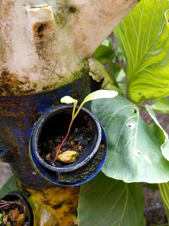 [Thumbnail for IMG_20240513_130443.jpg]