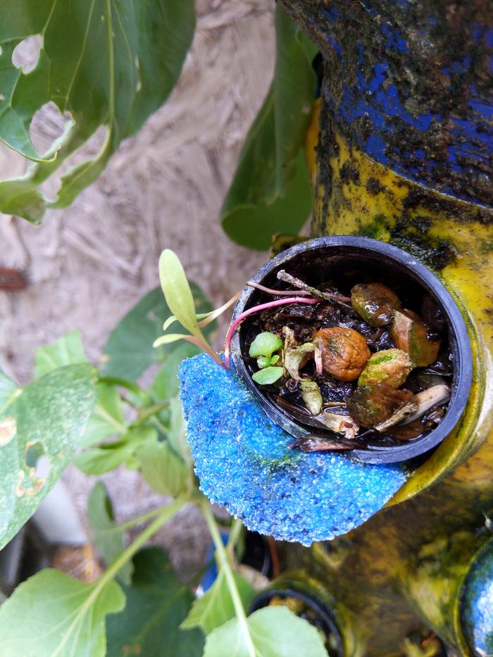 [Thumbnail for IMG_20240513_130440.jpg]