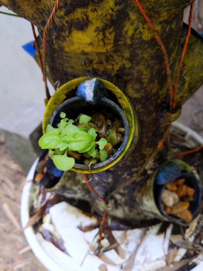 [Thumbnail for IMG_20240513_130433.jpg]