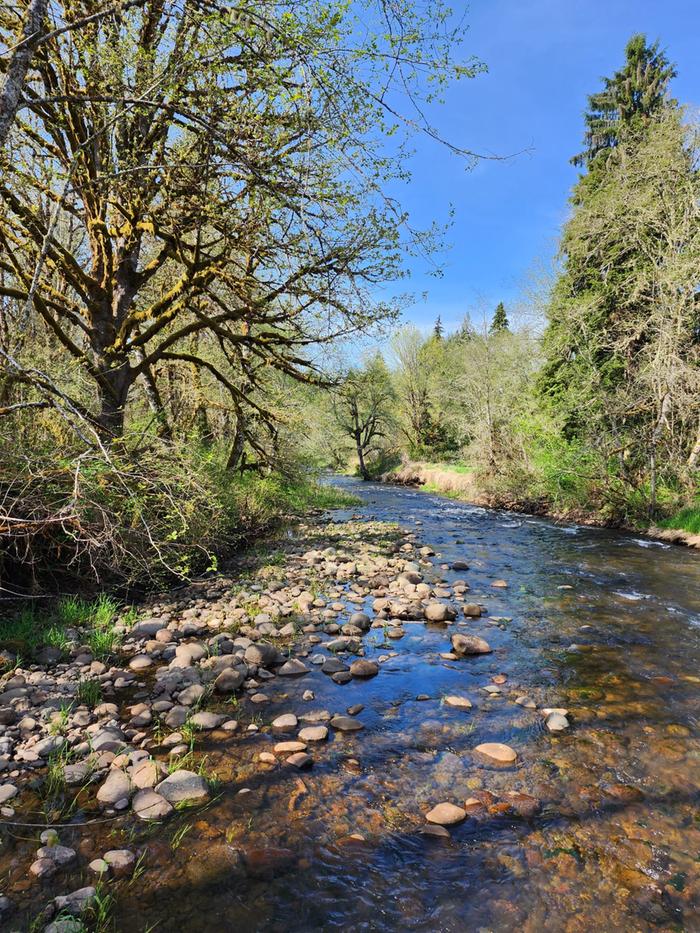 a creek with rock bed at CAYA sanctuary