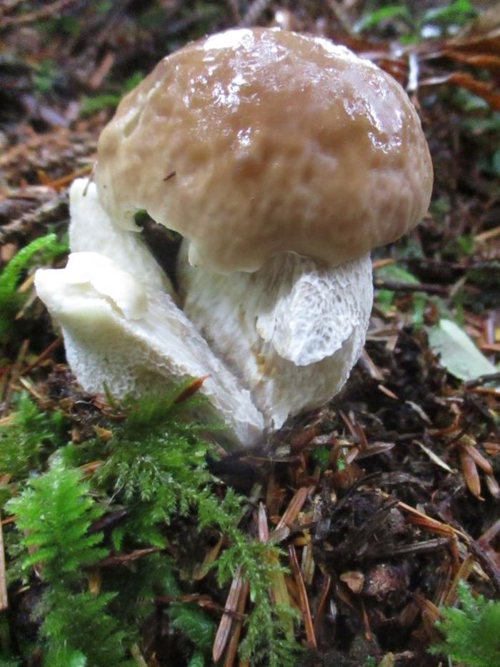 [Thumbnail for IMG_1121.jpeg]