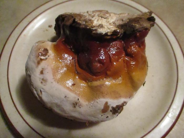 [Thumbnail for IMG_1125.jpeg]