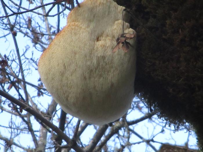 [Thumbnail for IMG_1209.jpeg]