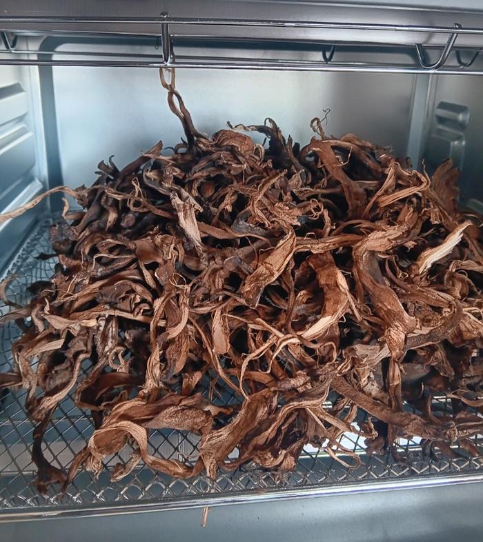 Drying mushrooms 