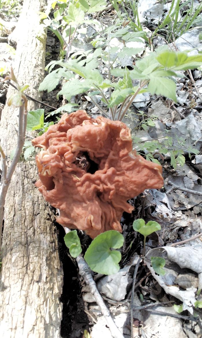 [Thumbnail for 2013-05-01-13.54.34.jpg]