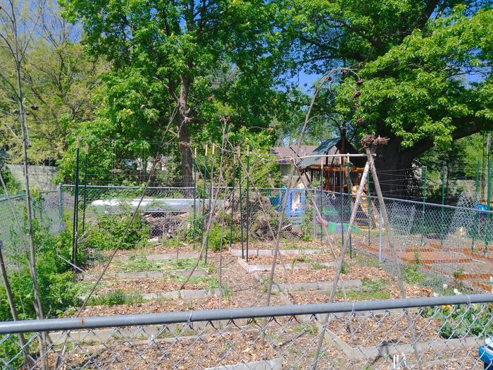 Planted gardens at my dad's home