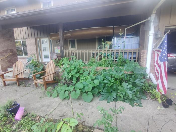 food growing ona front porch