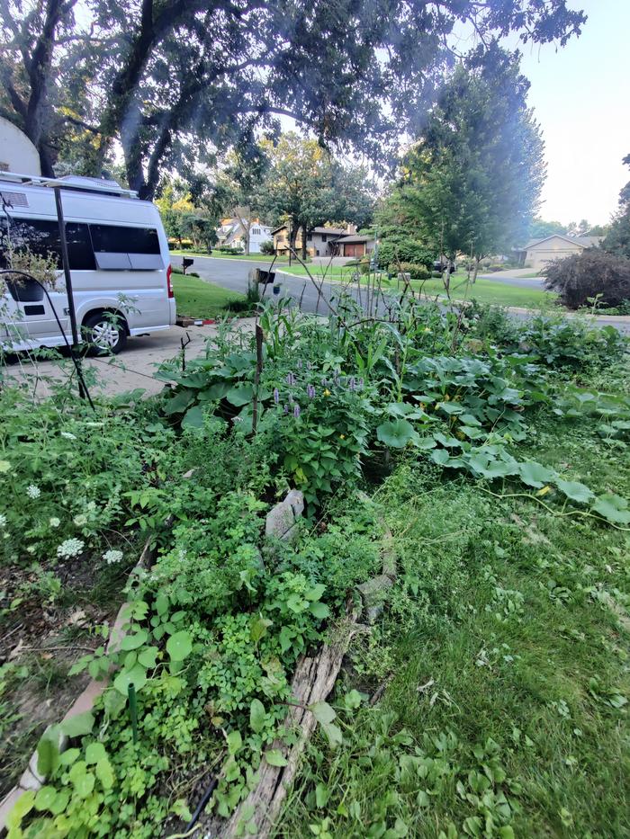 growing food in your front garden