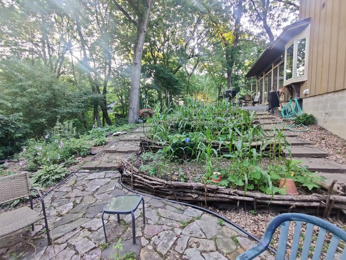 terraced vegetable garden on a hill