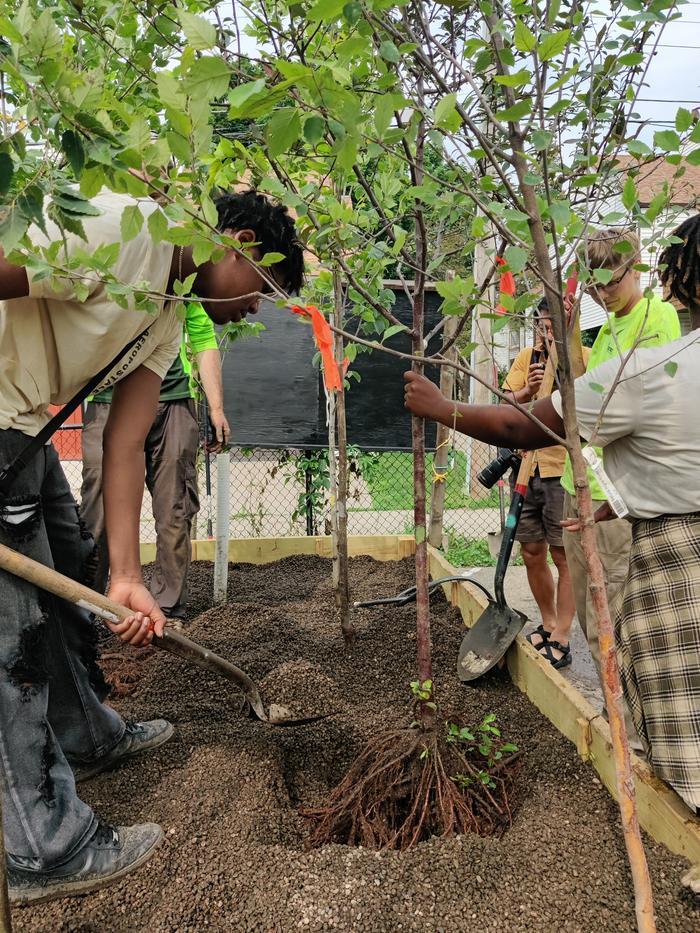 Parks and Rec, Forestry, and DNR came to build a gravel bed tree nursury