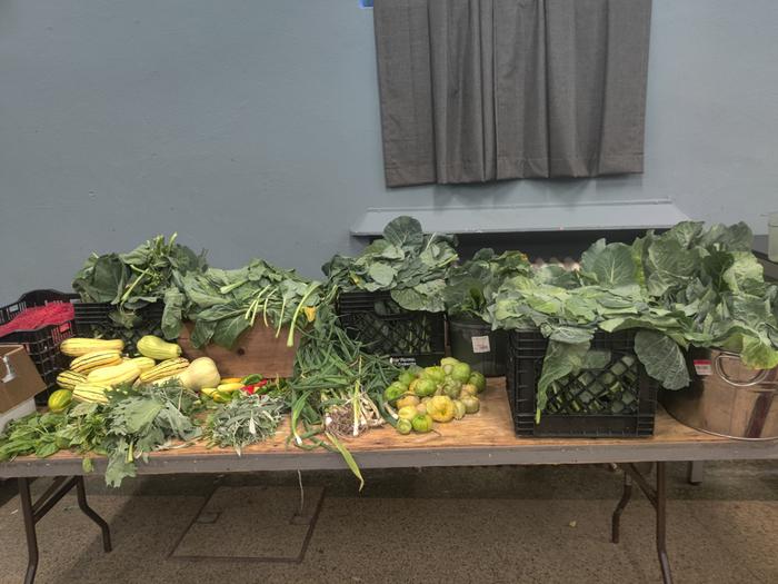 milk baskets full of food on a long table