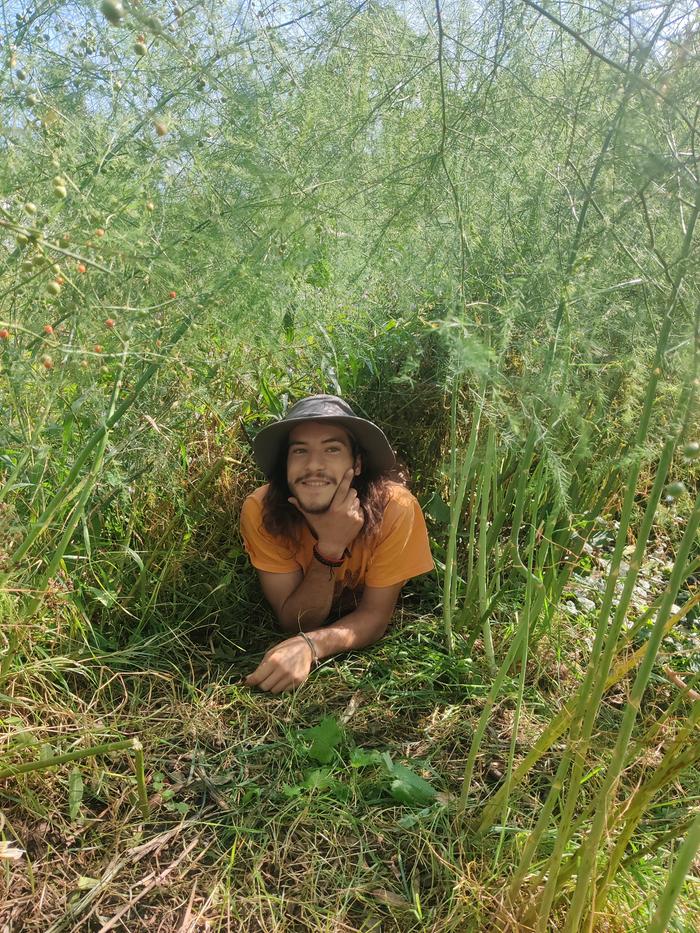 A farmer in his field