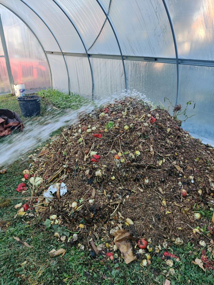 a compost pile in a greenhouse, food scraps provided by a restaurant