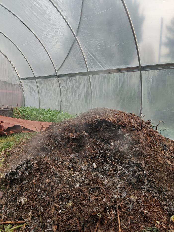 Pile of compost after some time