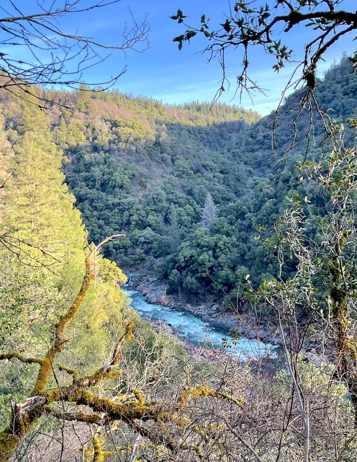 [Thumbnail for Yuba-springck.jpg]