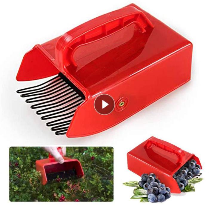 a printable berry picker