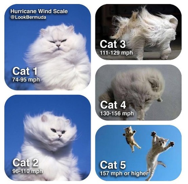 handy chart to determine hurricane wind speeds