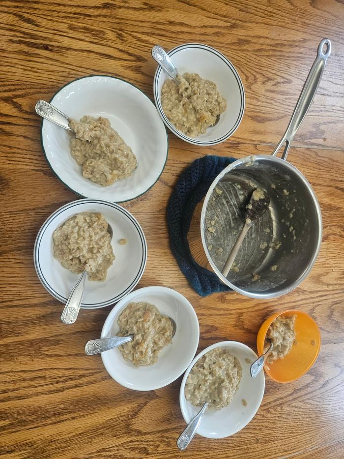 6 plates, apricot oatmeal