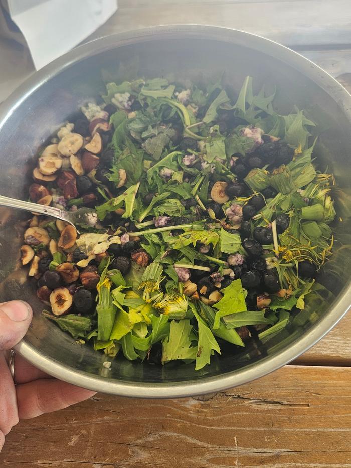 Foraged salad with toasted hazlenuts