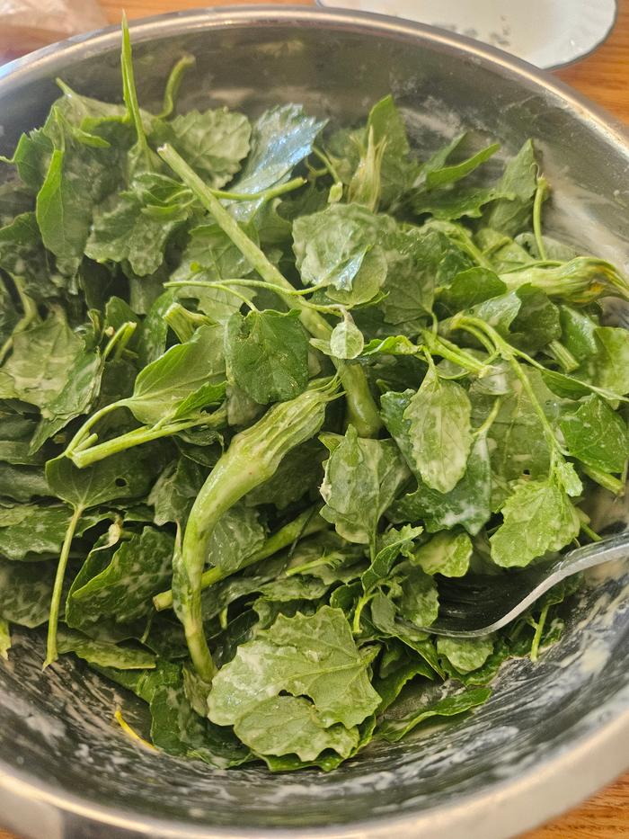 Lambs quarters and Honey mustard salad