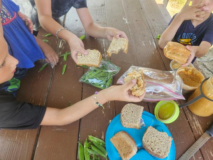 X6 In the park at challis, ID, on our way to wheaton labs, we had homeade organic bread pb and js.