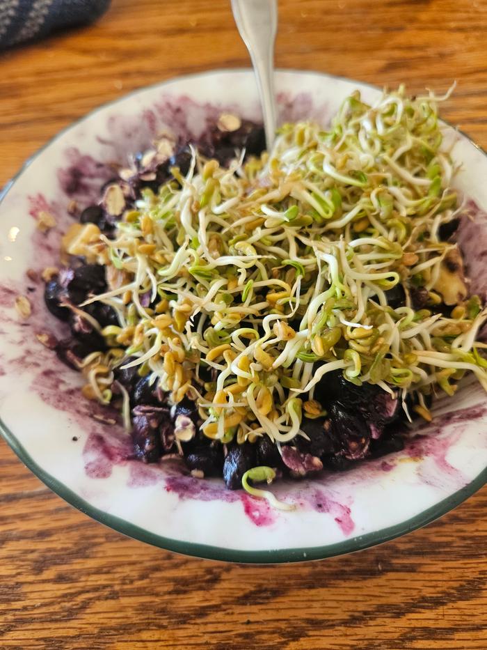 Sprouts berry bowl 