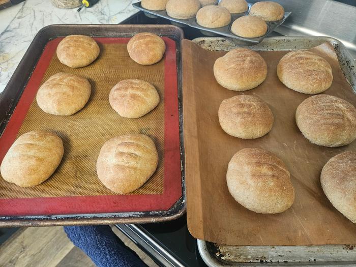 20 buns